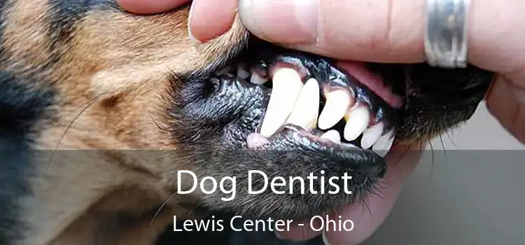 Dog Dentist Lewis Center - Ohio