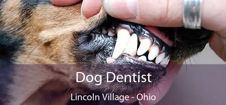 Dog Dentist Lincoln Village - Ohio