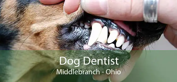 Dog Dentist Middlebranch - Ohio