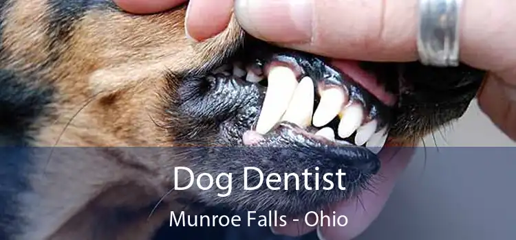 Dog Dentist Munroe Falls - Ohio