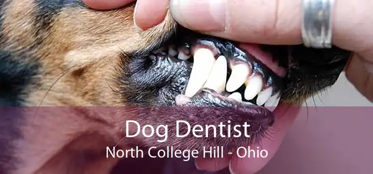 Dog Dentist North College Hill - Ohio