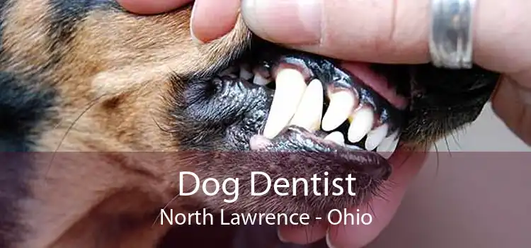 Dog Dentist North Lawrence - Ohio