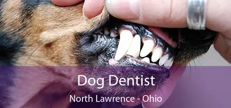 Dog Dentist North Lawrence - Ohio