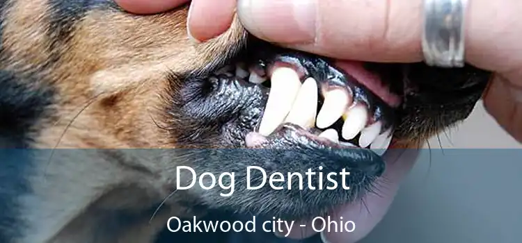 Dog Dentist Oakwood city - Ohio