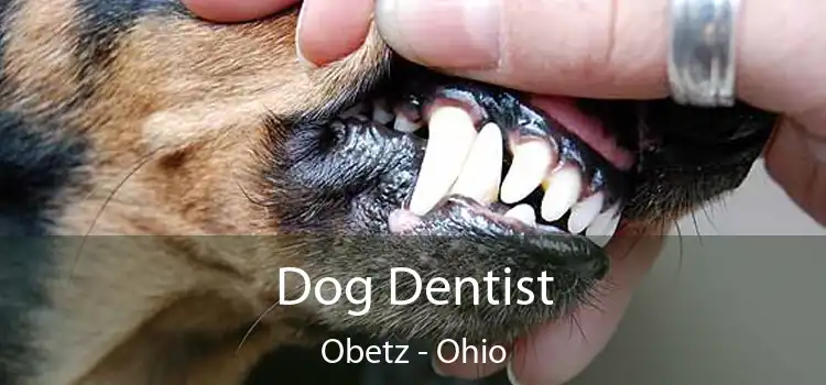 Dog Dentist Obetz - Ohio
