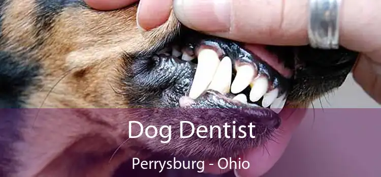 Dog Dentist Perrysburg - Ohio