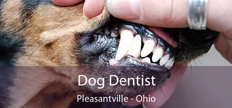 Dog Dentist Pleasantville - Ohio