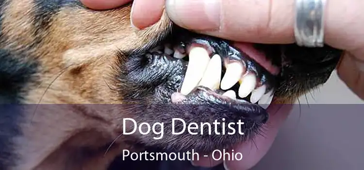 Dog Dentist Portsmouth - Ohio