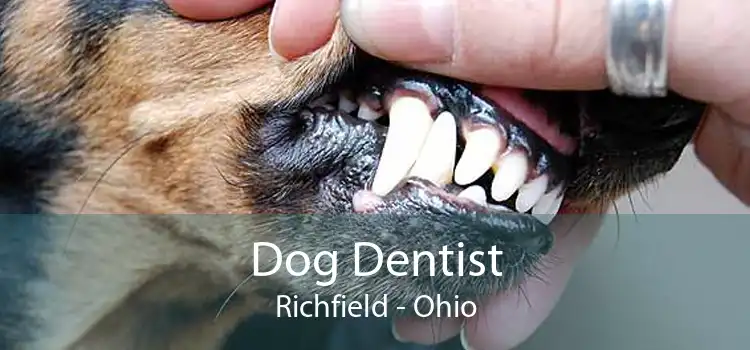 Dog Dentist Richfield - Ohio
