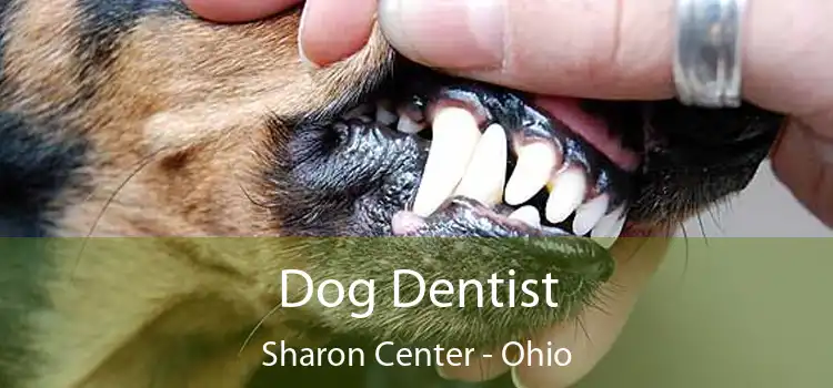 Dog Dentist Sharon Center - Ohio