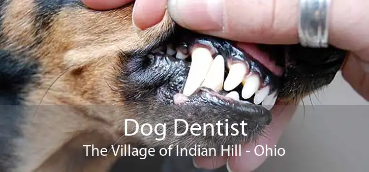 Dog Dentist The Village of Indian Hill - Ohio
