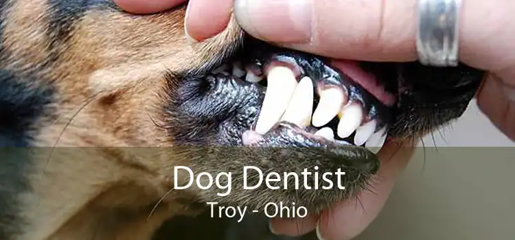 Dog Dentist Troy - Ohio