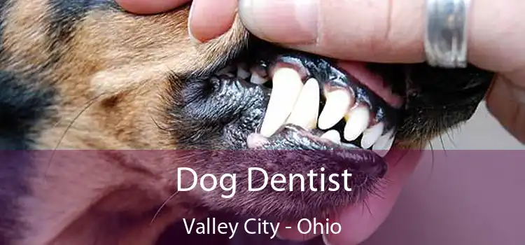 Dog Dentist Valley City - Ohio