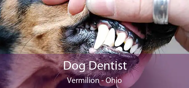 Dog Dentist Vermilion - Ohio