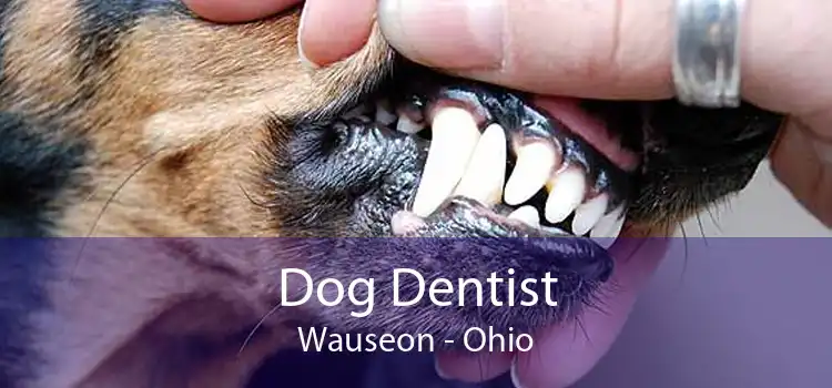 Dog Dentist Wauseon - Ohio