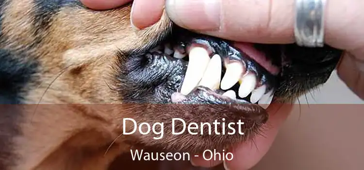 Dog Dentist Wauseon - Ohio
