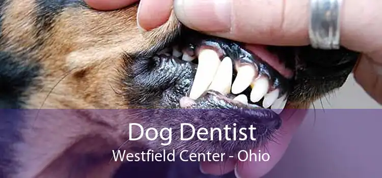 Dog Dentist Westfield Center - Ohio