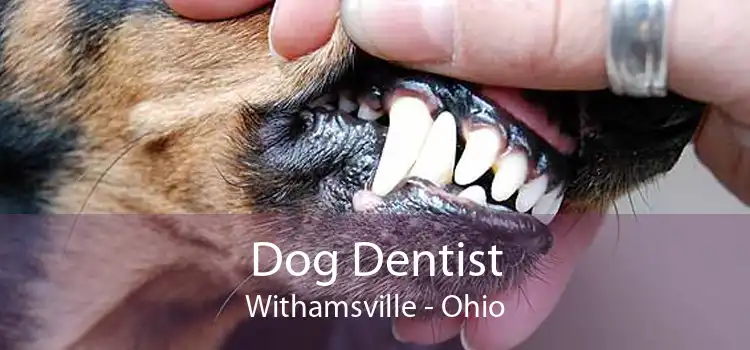 Dog Dentist Withamsville - Ohio