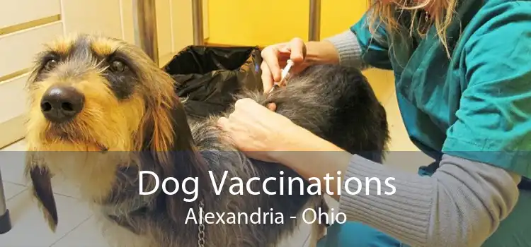 Dog Vaccinations Alexandria - Ohio