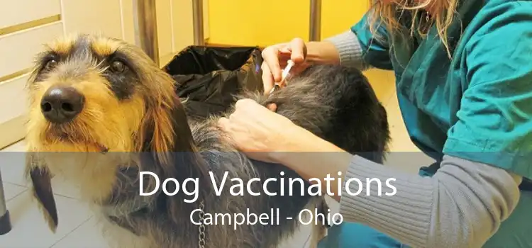 Dog Vaccinations Campbell - Ohio
