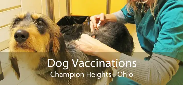 Dog Vaccinations Champion Heights - Ohio
