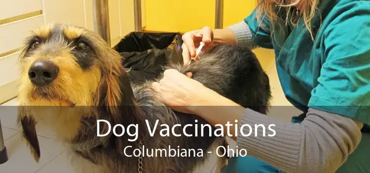 Dog Vaccinations Columbiana - Ohio