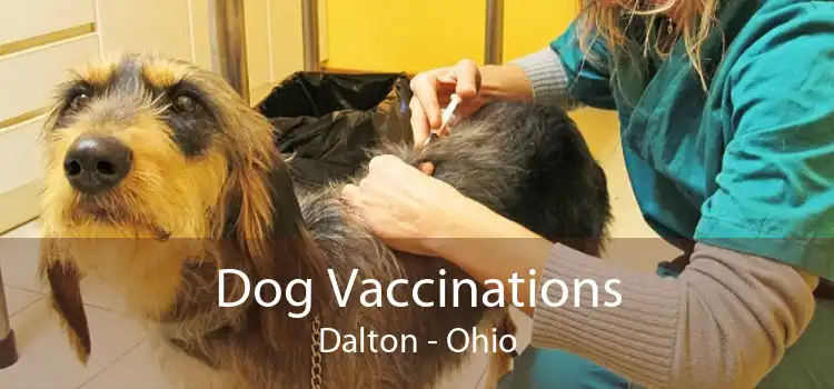 Dog Vaccinations Dalton - Ohio