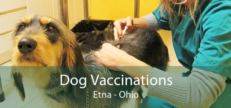 Dog Vaccinations Etna - Ohio