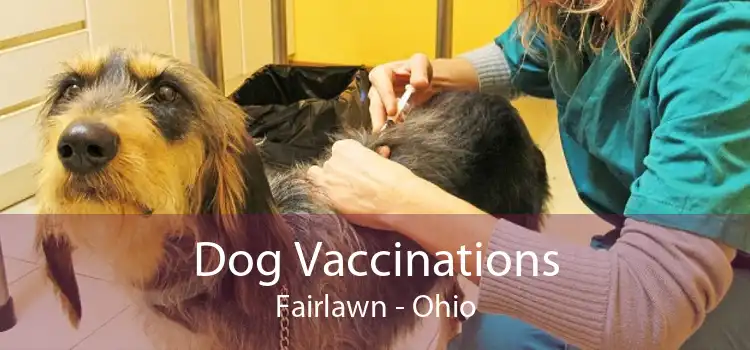 Dog Vaccinations Fairlawn - Ohio