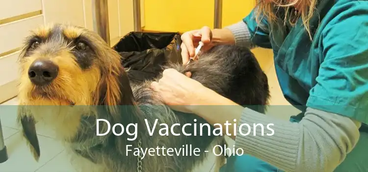 Dog Vaccinations Fayetteville - Ohio