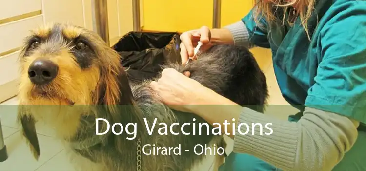 Dog Vaccinations Girard - Ohio