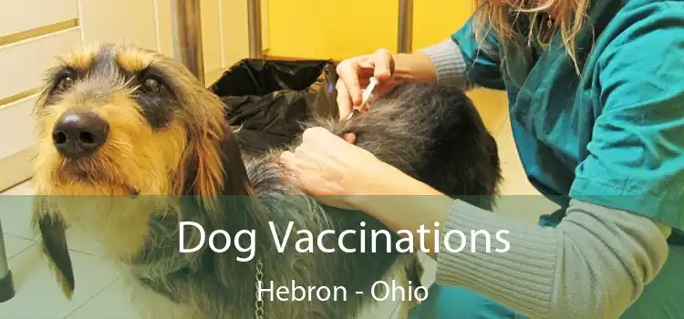 Dog Vaccinations Hebron - Ohio