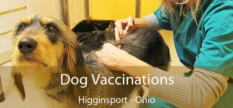 Dog Vaccinations Higginsport - Ohio