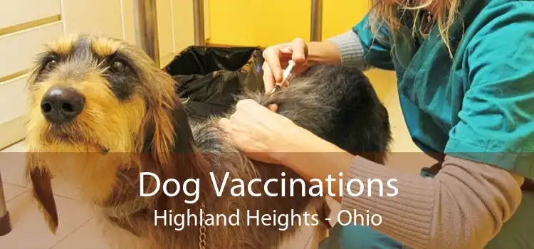 Dog Vaccinations Highland Heights - Ohio