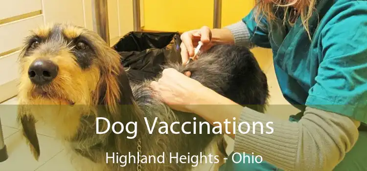 Dog Vaccinations Highland Heights - Ohio