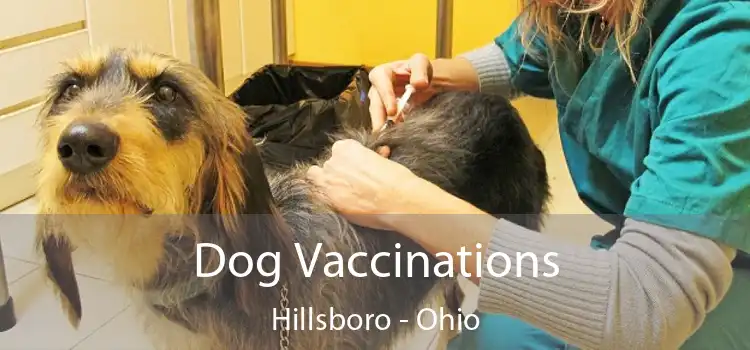 Dog Vaccinations Hillsboro - Ohio