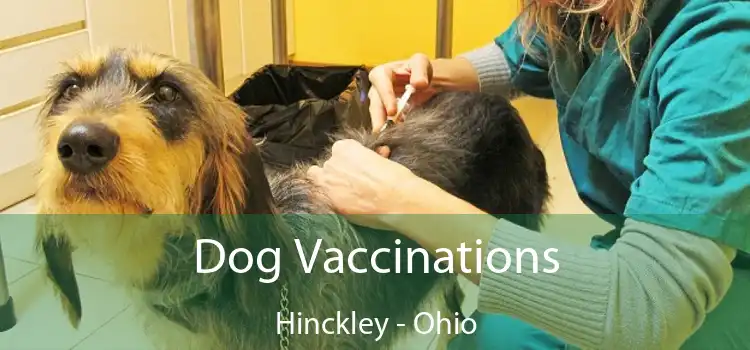 Dog Vaccinations Hinckley - Ohio