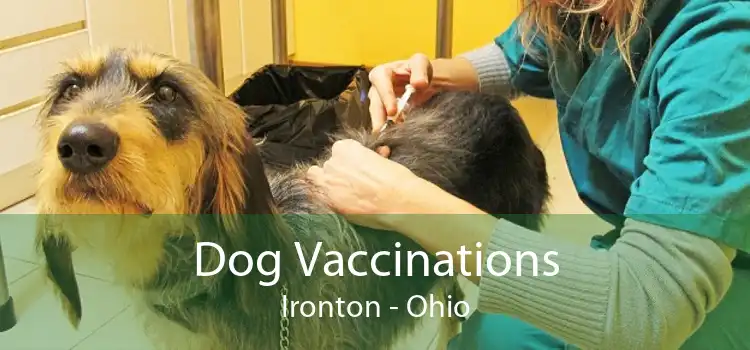 Dog Vaccinations Ironton - Ohio