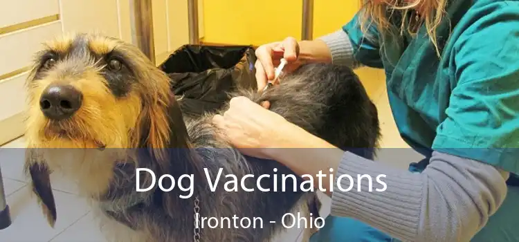 Dog Vaccinations Ironton - Ohio