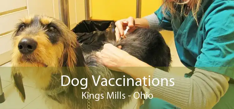 Dog Vaccinations Kings Mills - Ohio
