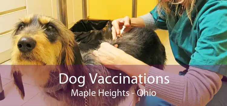Dog Vaccinations Maple Heights - Ohio