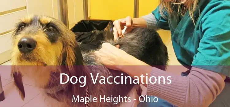 Dog Vaccinations Maple Heights - Ohio