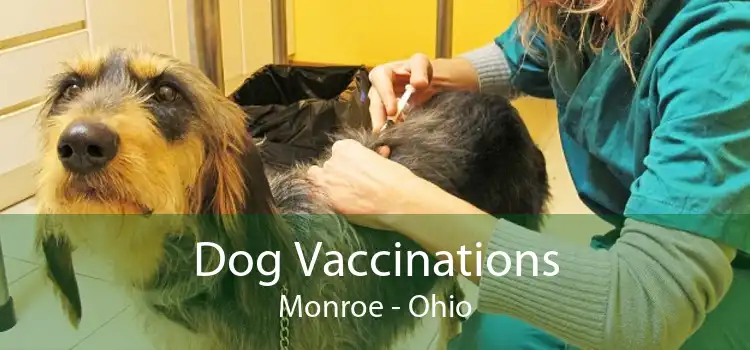 Dog Vaccinations Monroe - Ohio