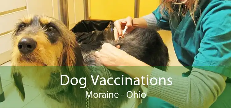 Dog Vaccinations Moraine - Ohio
