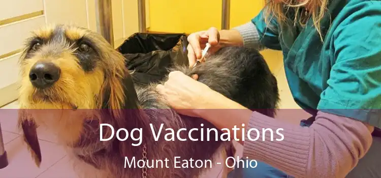 Dog Vaccinations Mount Eaton - Ohio