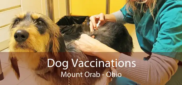 Dog Vaccinations Mount Orab - Ohio
