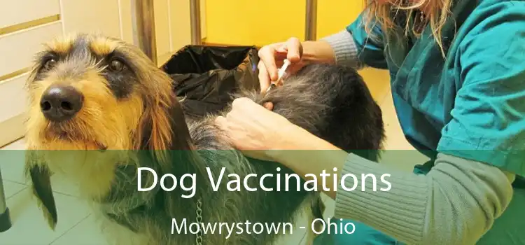 Dog Vaccinations Mowrystown - Ohio