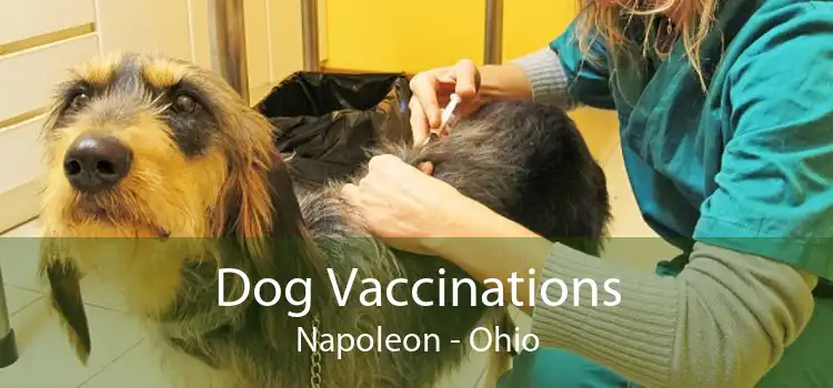 Dog Vaccinations Napoleon - Ohio