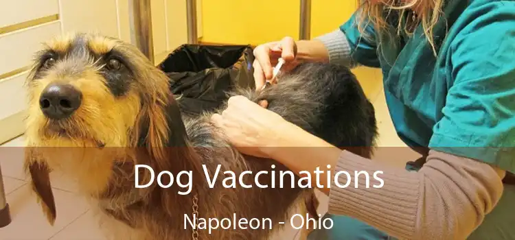 Dog Vaccinations Napoleon - Ohio