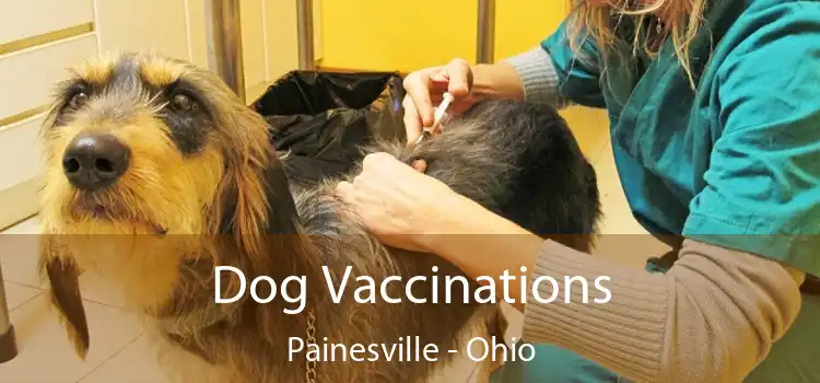 Dog Vaccinations Painesville - Ohio